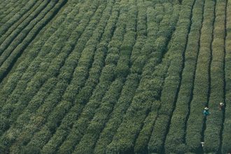 自动配图 - Breakfast