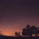 自动配图 - Snacks & Sides