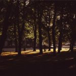 自动配图 - Wellness